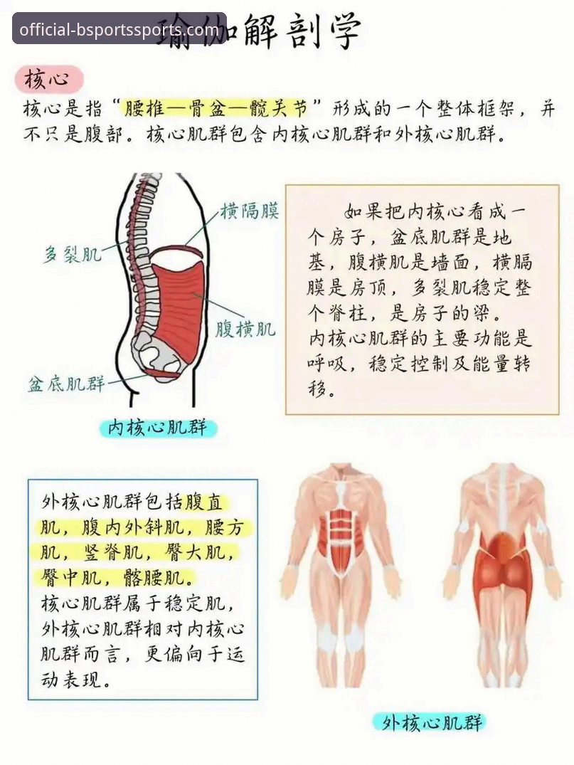 3大核心优势解析：为什么选择BSports体育平台官方渠道